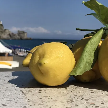 Meublè Casa Mannini 4*